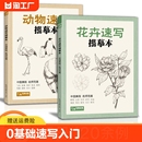 花卉动物速写描摹本零基础画画入门新手自学教程书籍线描临摹手绘初学者学绘画教材铅笔画素描画稿水彩