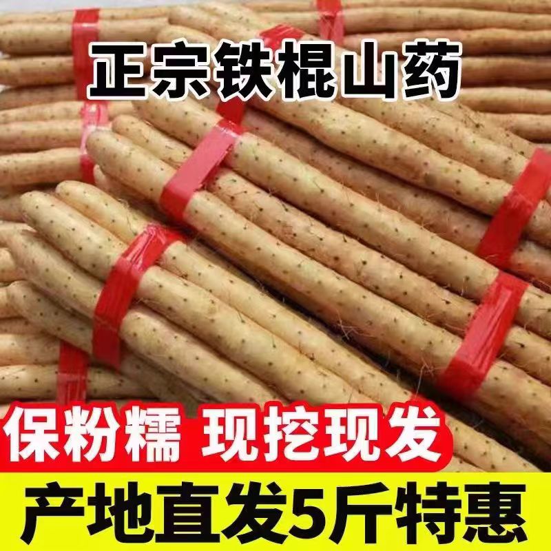 铁棍山药新鲜淮山药铁杆山药现挖山药非温县怀山药
