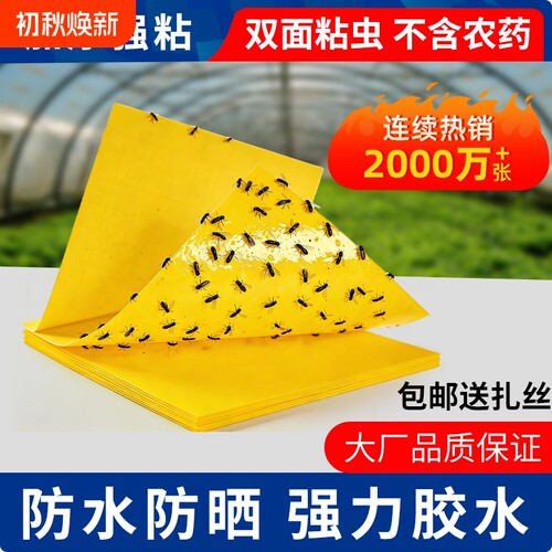 黄板双面粘虫板大棚菜园小飞虫果蝇诱捕器粘苍蝇贴果园庭院粘蝇纸