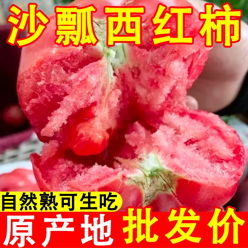 正宗普罗旺斯孕妇水果当季沙瓤西红柿自然熟生吃番茄新鲜包邮