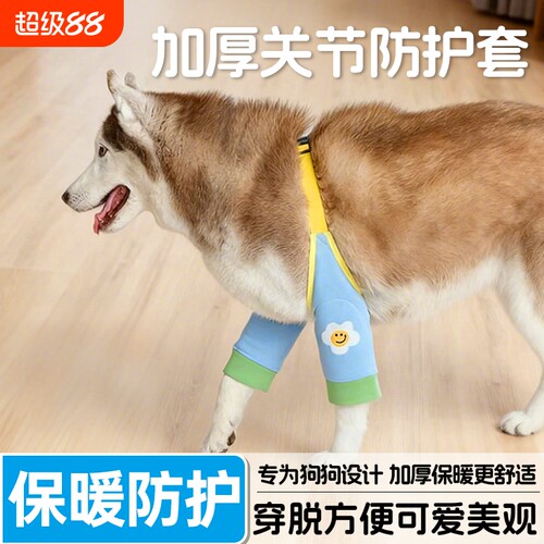 宠物关节防护套金毛大狗狗衣服秋冬保暖护肘护膝边牧中大型犬固定