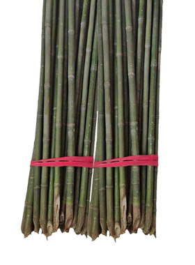 竹竿菜园搭架蔬菜黄瓜竹竿爬藤架