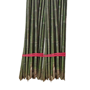 竹竿菜园搭架蔬菜黄瓜豆角架杆竹篱笆栅栏小竹子细竹竿爬藤架庭院