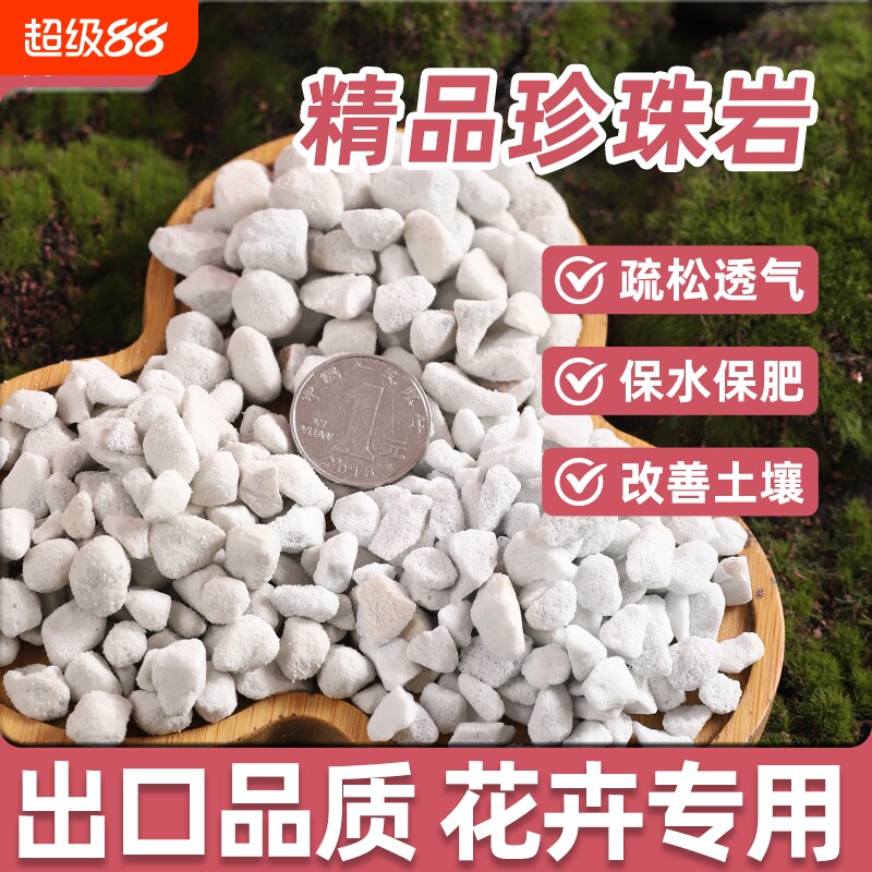 专用珍珠岩大颗粒兰花盆栽不易粉化园艺蛭石拌土硬质土壤植物水培