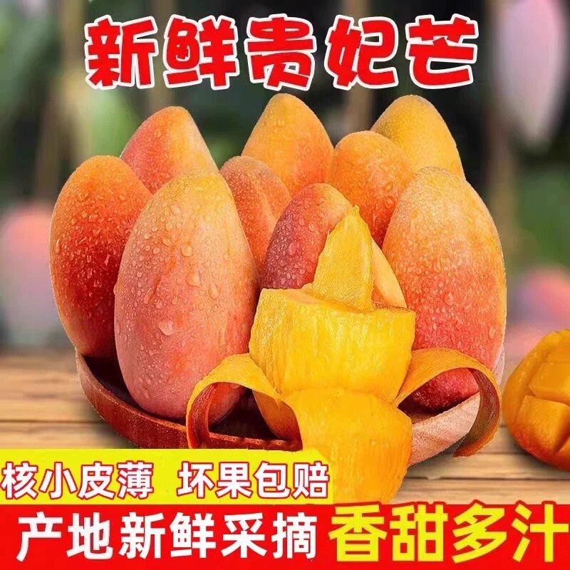 正宗贵妃芒芒果新鲜大果当季水果树上熟红金龙甜心辣椒芒果整箱