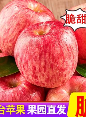 正宗山东烟台红富士苹果新鲜水果应当季栖霞苹果脆甜整箱黄金自提
