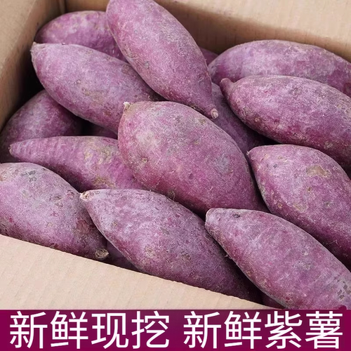 紫薯新鲜3/5/9斤地瓜农家蔬菜现挖软糯板栗山芋红小番薯紫心蜜薯