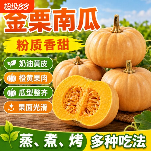 产地直发金栗奶油南瓜日本板栗小南瓜低脂代餐老人小孩爱吃