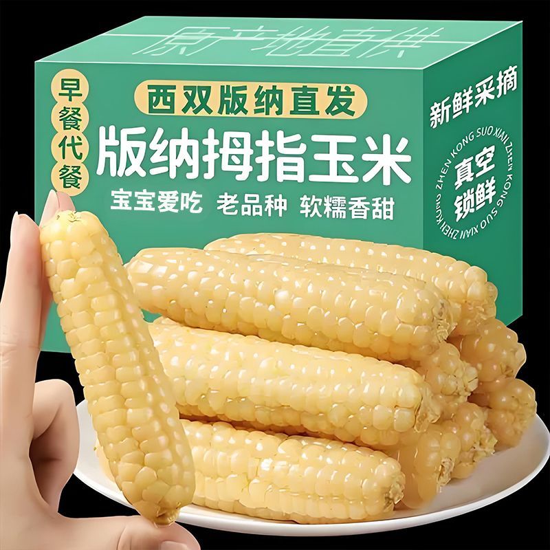 云南西双版纳香糯拇指糯玉米即食新鲜真空手指糯玉米黏甜粘玉米棒