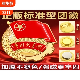 团徽2cm强磁磁吸胸针新版标准正版安全别针大磁铁中国共青团员徽章青年不易监制学校批发团购7新款带字蝴蝶扣