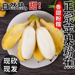 正宗苹果蕉香蕉新鲜9斤自然熟当季现摘整箱水果粉蕉小米芭蕉香焦
