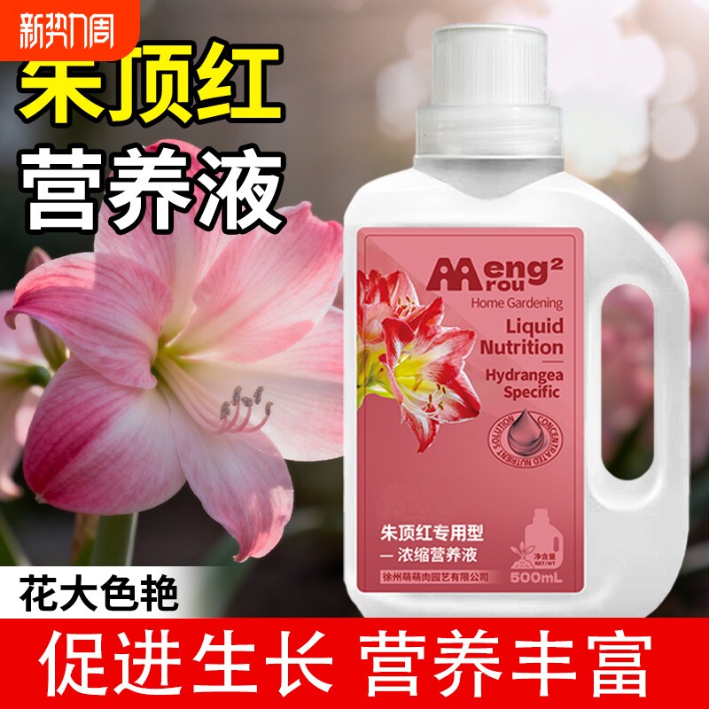 朱顶红营养液专用肥料室内盆栽植物富贵花促开花爆盆开花肥氮磷钾