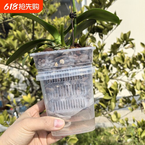 蝴蝶兰套盆透气控根半水培方花盆内外桶搭配套装控根盆桌面阳台