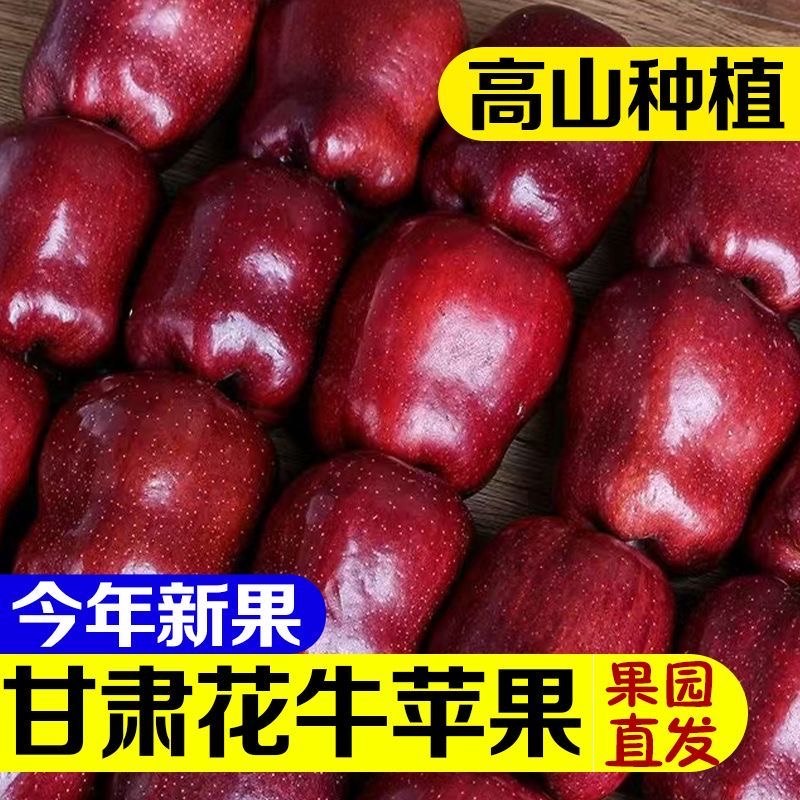 正宗甘肃天水花牛苹果小孩老人可食脆沙甜蛇果新鲜水果粉面果现摘