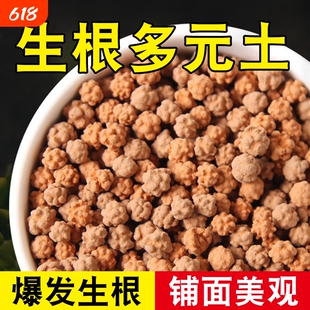 多元土多肉铺面土生根土颗粒多元素营养土园艺植物种植球球活力土