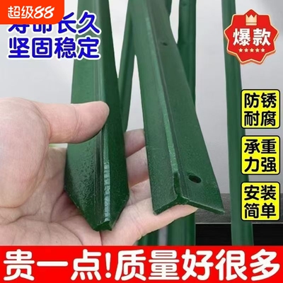 殖防盗立柱加厚10根铁丝网