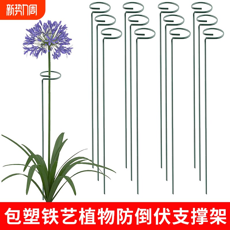 植物防倒伏支架铁艺绣球支撑杆园艺固定架爬藤花卉朱顶红花架包塑