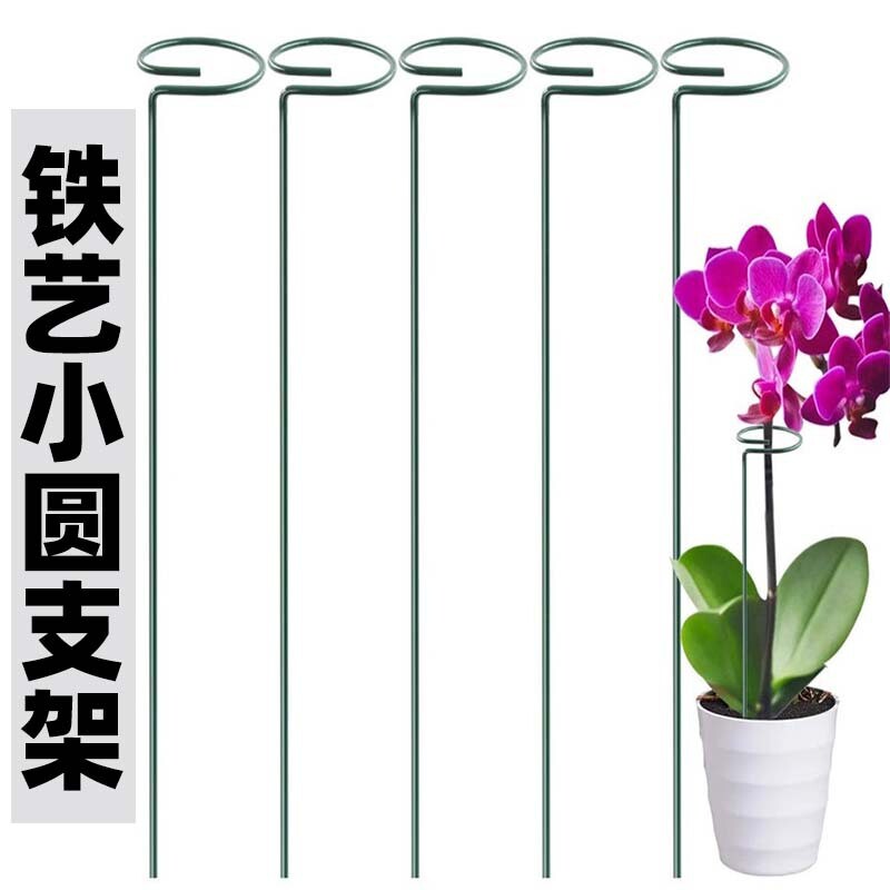 园艺花架植物支撑杆防倒伏图片