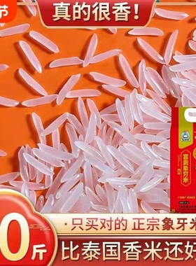 广西长粒超长晚稻正宗象牙大米长粒香猫牙米5kg香米煲仔饭米饭