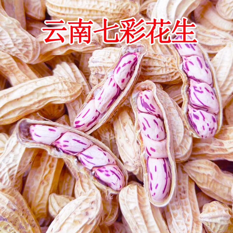 2026新货七彩花生米晒干带壳云南普洱咸干五彩花生牛奶花生种