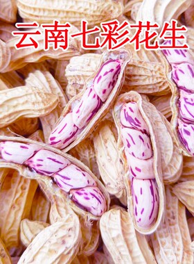 2026七彩花生米带壳云南普洱咸干五彩花生牛奶花生种健康水煮特色