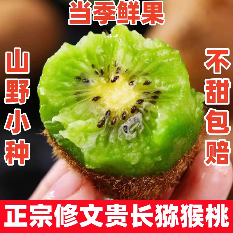 猕猴桃新鲜贵州修文贵长猕猴桃彩箱礼盒装当季新鲜采摘发货