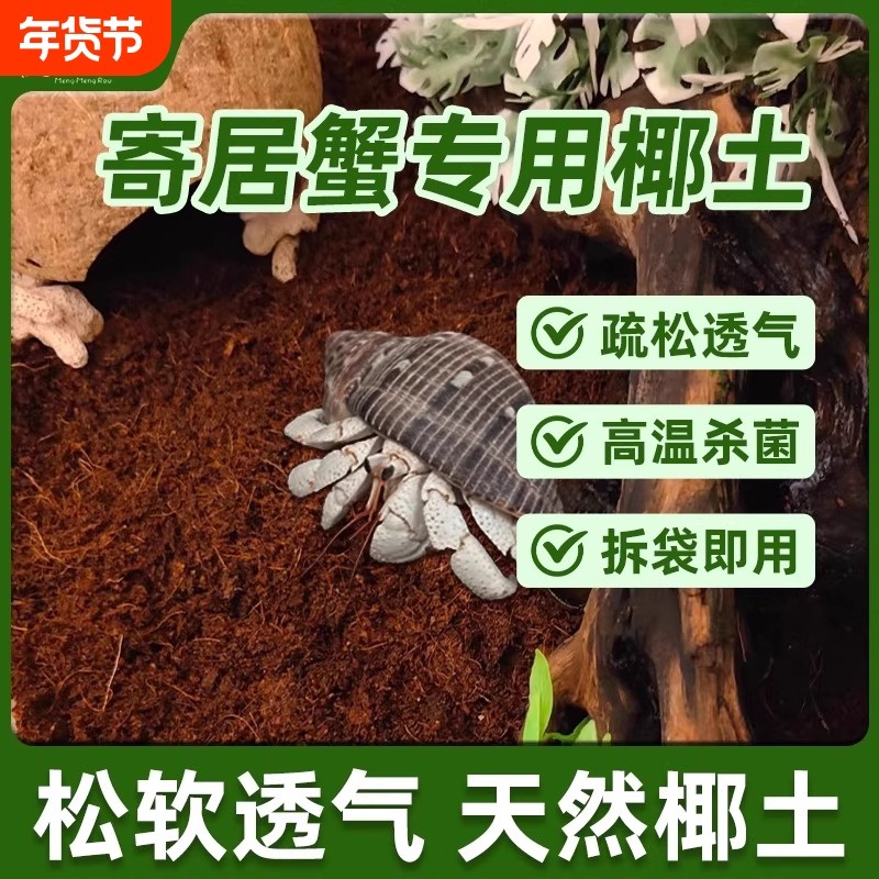 寄居蟹专用椰土免泡发寄居蟹椰土新手垫材料寄居蟹专用椰土饲养箱