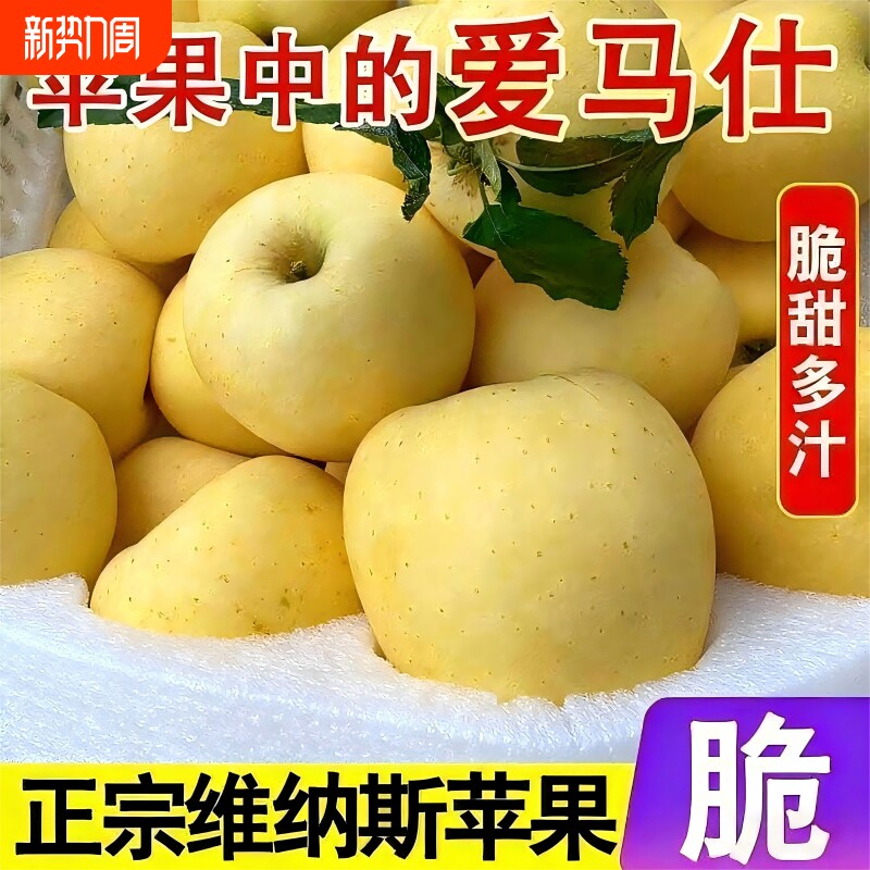 山东维纳斯黄金苹果新鲜水果当季新鲜水果包邮甜脆奶油苹果脆甜