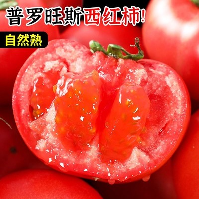 普罗旺斯西红柿沙瓤大番茄新鲜蔬菜水果柿子3-5斤自然熟包邮自提