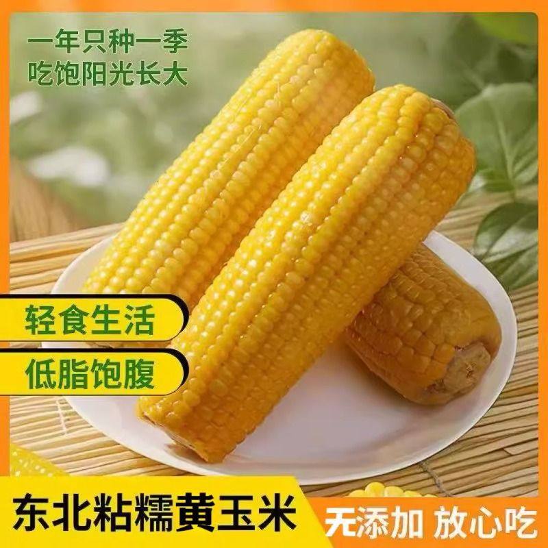 头茬新鲜东北黄糯粘玉米棒苞米真空包装非转基因早餐代餐饱腹低脂,粮油调味/速食/干货/烘焙,玉米,淘宝优惠券,粉丝福利购,淘宝优惠卷