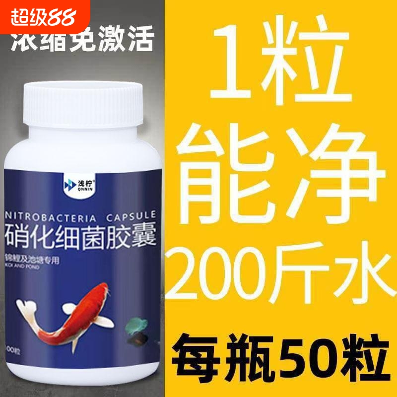 浓缩型升级硝化细菌胶囊