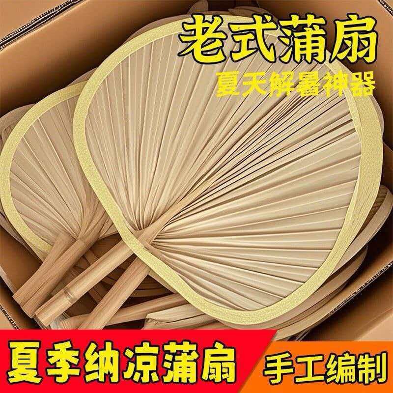 扇子蒲扇老式大蒲扇夏季儿童宝宝竹编夏天手摇手工编织芭蕉古风扇