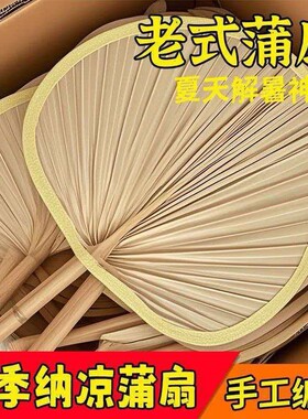 扇子蒲扇老式大蒲扇夏季儿童宝宝竹编夏天手摇手工编织芭蕉古风扇