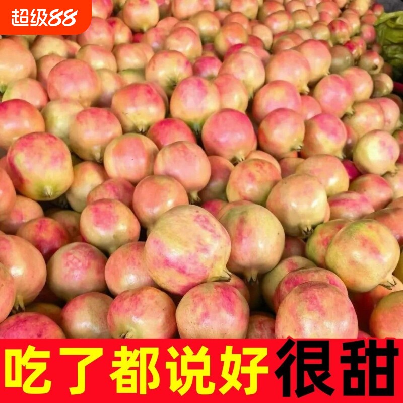 【地标授权产品】四川会理正宗突尼斯软籽石榴当季新鲜采摘孕妇