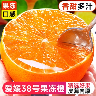 爱媛果冻橙皮薄爆汁细嫩化渣鲜果