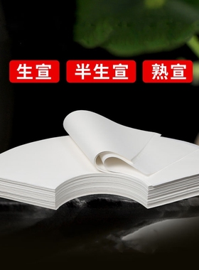 扇形半生熟国画纸芯工笔画书法作品用纸生宣熟宣白描扇面软笔写意山水水墨画白色仿古宣纸空白画芯初学者专用