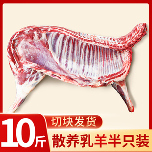 10斤半只羊套餐新鲜现杀羊肉冷冻分割羊排羊蝎子羊腿肉