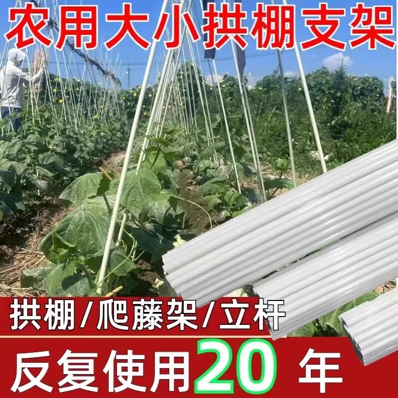 架杆种菜爬藤架西红柿塑料纤维杆支架秧苗玻璃实心植物农用隔热图片