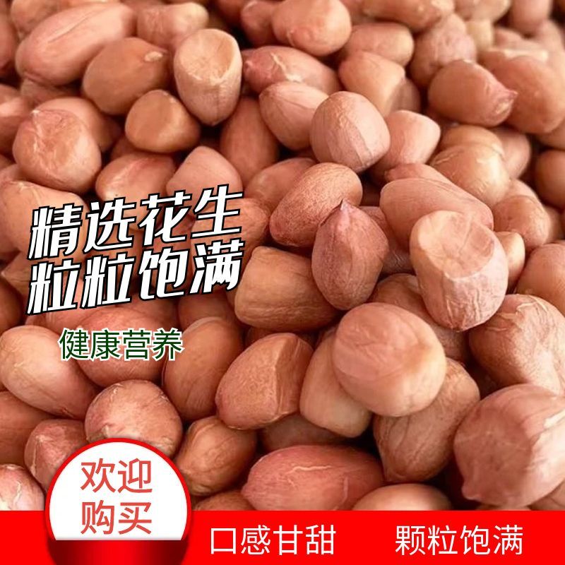 批发南阳白沙花生仁生 晒干花生米颗粒匀称色泽自然
