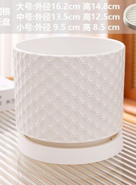 简约陶瓷花盆带托盘家用蝴蝶兰吊兰绿萝盆栽大号轻奢ins多规格
