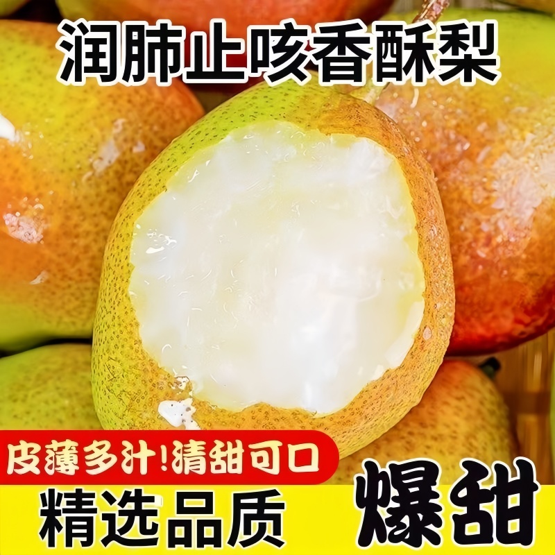 正宗红香酥梨新鲜水果香梨整箱批发梨子当季薄皮脆甜酥梨非彩虹梨