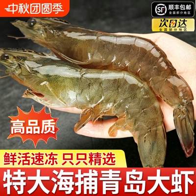 当季新捕青岛大虾21-19厘米鲜活速冻2030基围虾南美白对虾
