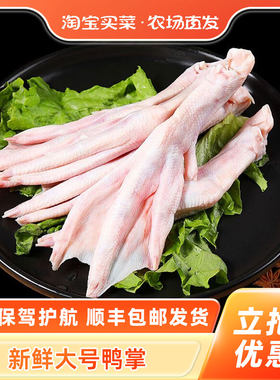 原切大号鸭掌顺丰包邮