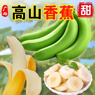 广西高山甜蕉新鲜水果香蕉产地直发青蕉发货大香蕉