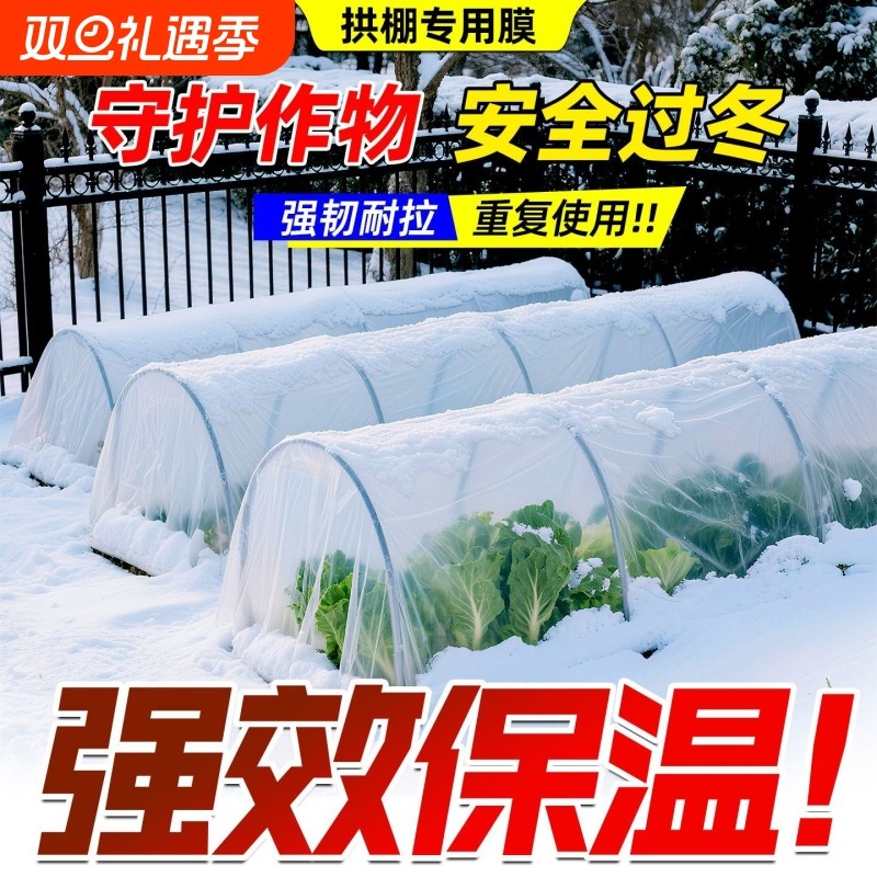 种菜小拱棚秋冬季蔬菜防寒过冬保温保湿塑料布种菜专用大棚塑料膜