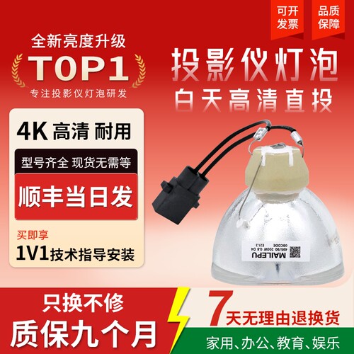 集大成适用于爱普生投影机灯泡