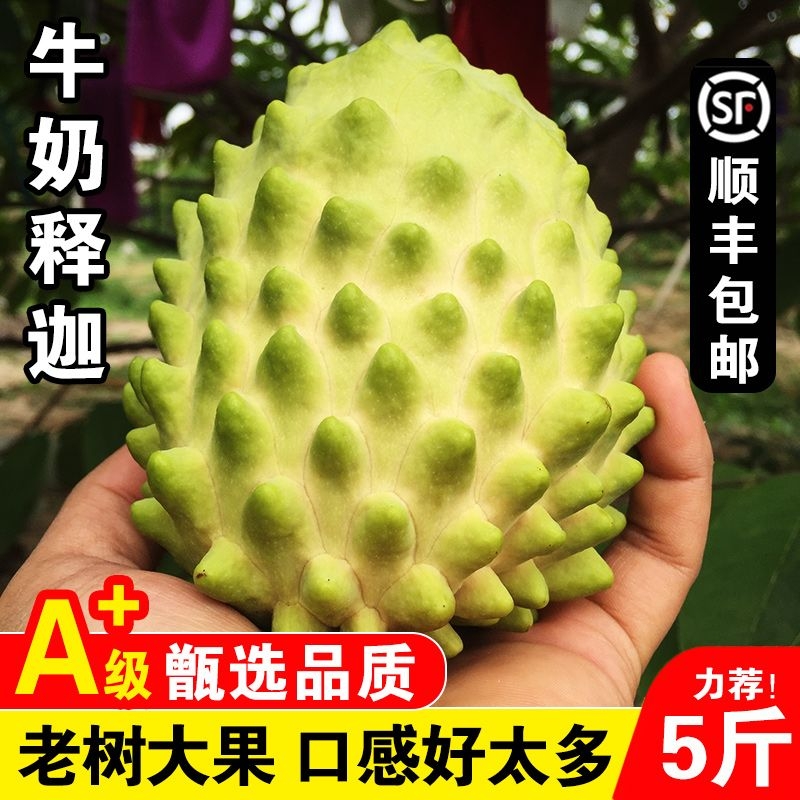 顺丰泰国大目牛奶释迦果番荔枝新鲜水果当季大果特大整箱批发包邮