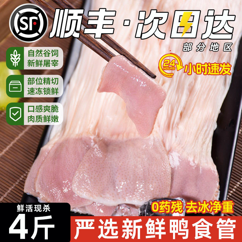 【顺丰包邮】鸭食管生冷冻鸭食带新鲜鸭板肠卤货鸭肚鸭腺胃鸭肠子,水产肉类/新鲜蔬果/熟食,鸭肉/鸭肉制品,淘宝优惠券,粉丝福利购,淘宝优惠卷