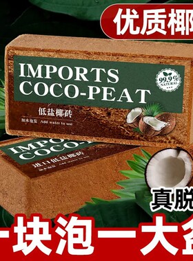 【七天内超万人加购】椰砖