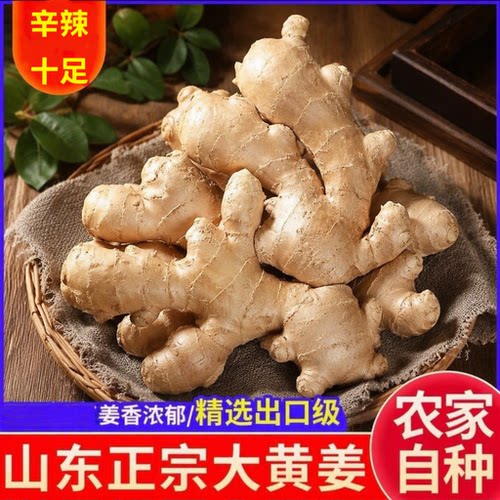 山东大姜水洗风干姜优质姜新鲜大块月子姜绿色食品农场当季自种